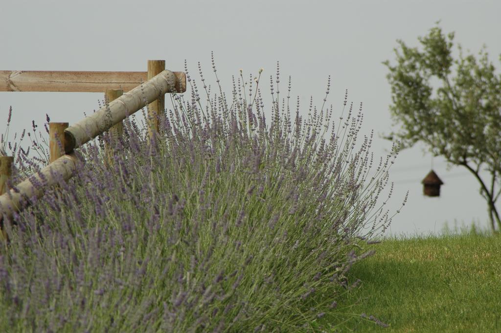 B&B Il Filo' Valeggio sul Mincio Eksteriør bilde